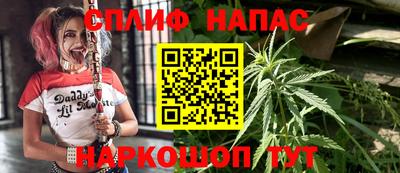 индика Рузаевка