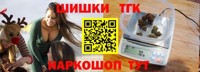 индика Рузаевка