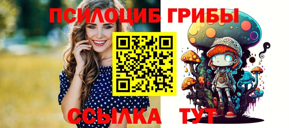 наркотики  Вход с VPN  Скопин  Псилоцибиновые грибы Psilocybine cubensis 
