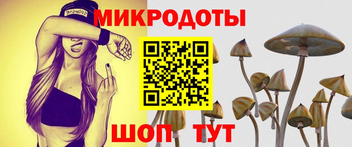 Псилоцибиновые грибы мицелий Скопин